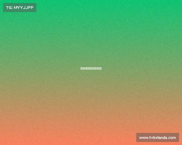 足球各赛事图像—足球赛事照片